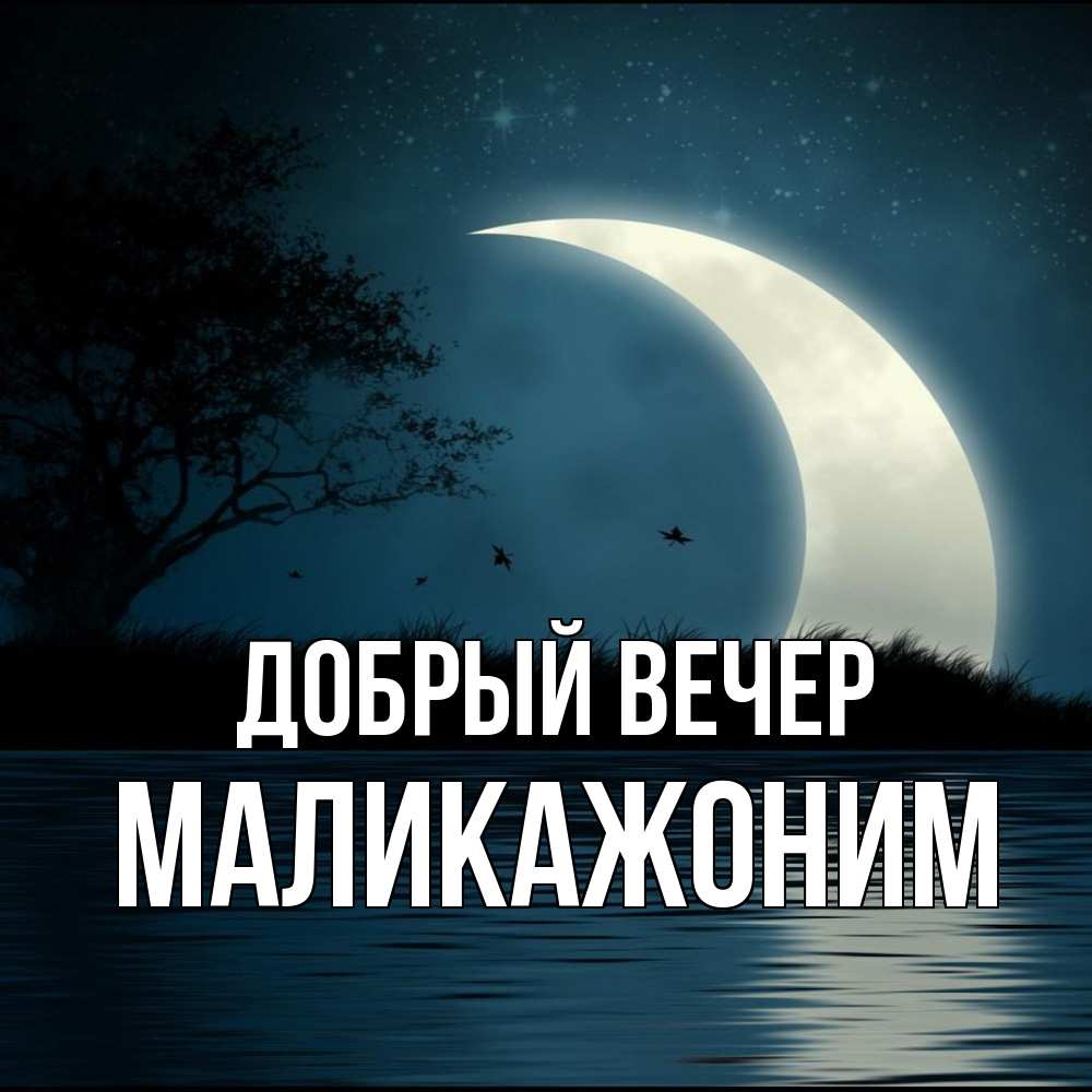 Открытка  с именем. Маликажоним, Добрый вечер  