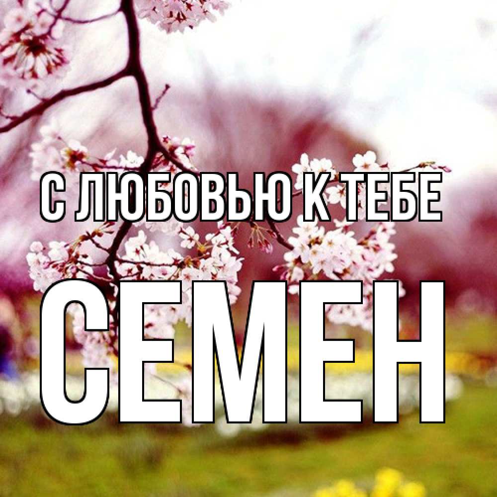 Открытка  с именем. Семен, С любовью к тебе  