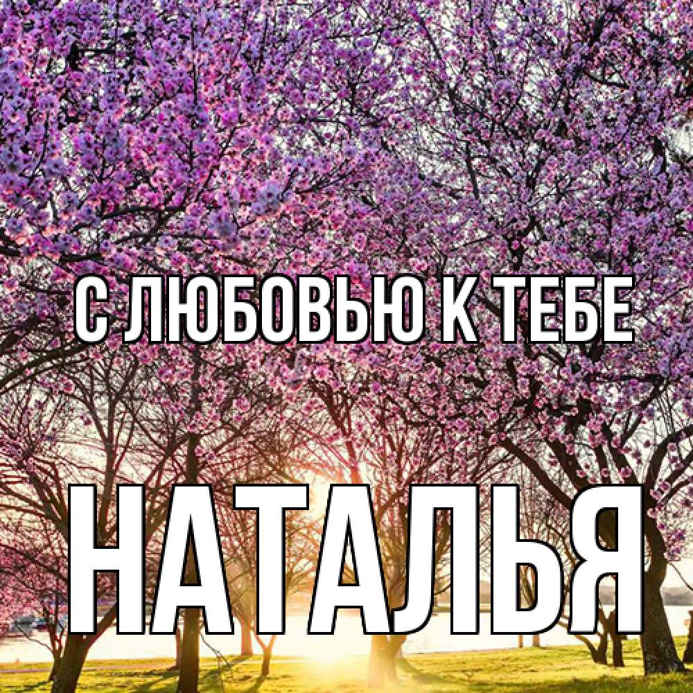 Открытка  с именем. Наталья, С любовью к тебе  