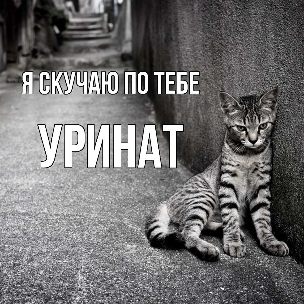 Открытка  с именем. уРинат, Я скучаю по тебе  