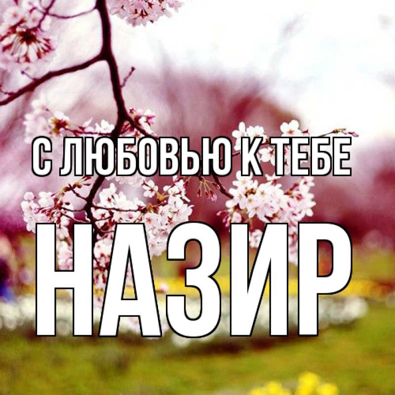 Картинка С любовью к тебе, Назир