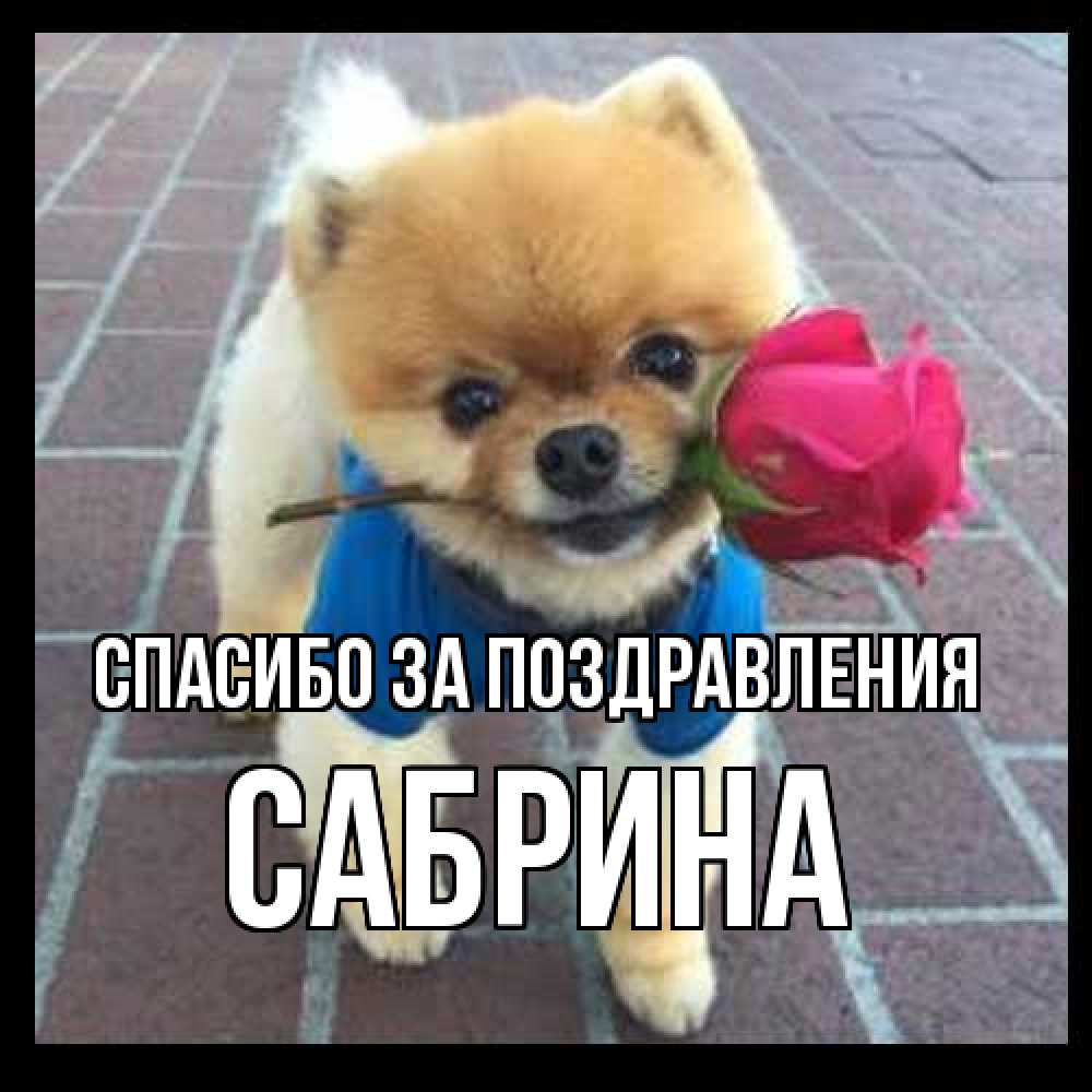 Открытка  с именем. Сабрина, Спасибо за поздравления  