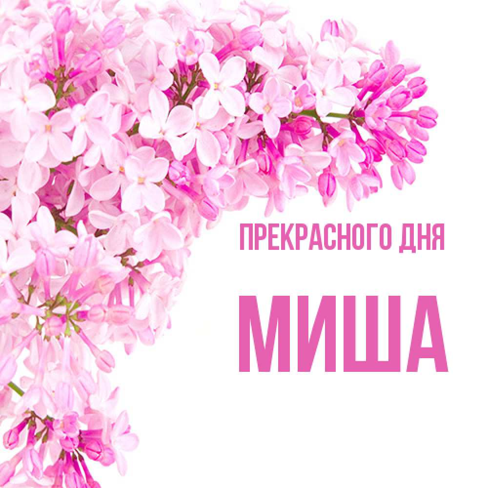 Открытка  с именем. Миша, Прекрасного дня  