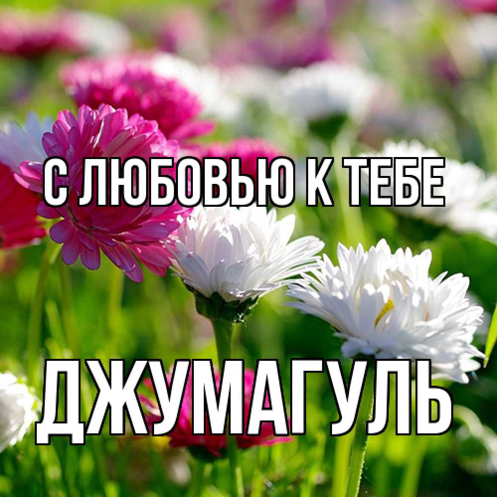 Открытка  с именем. Джумагуль, С любовью к тебе  