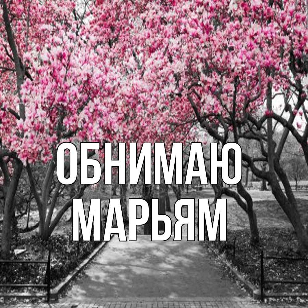 Открытка  с именем. Марьям, Обнимаю  