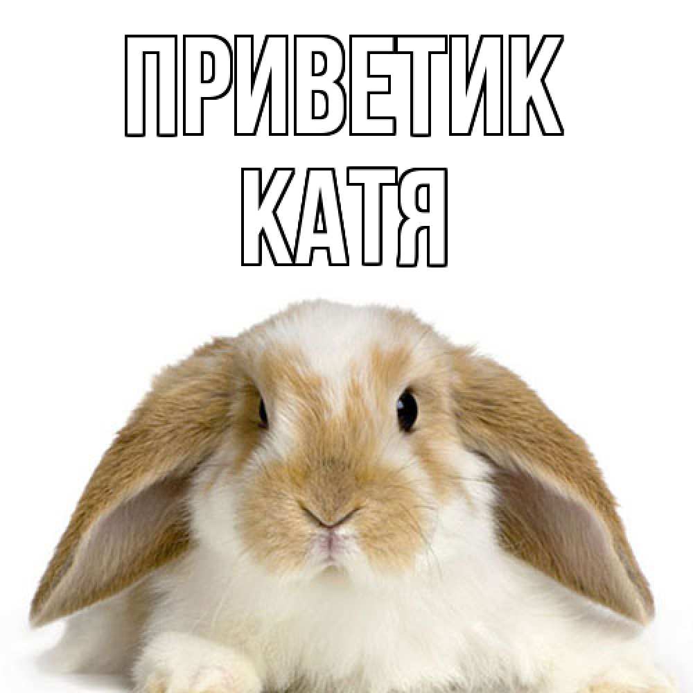 Открытка  с именем. Катя, приветик  