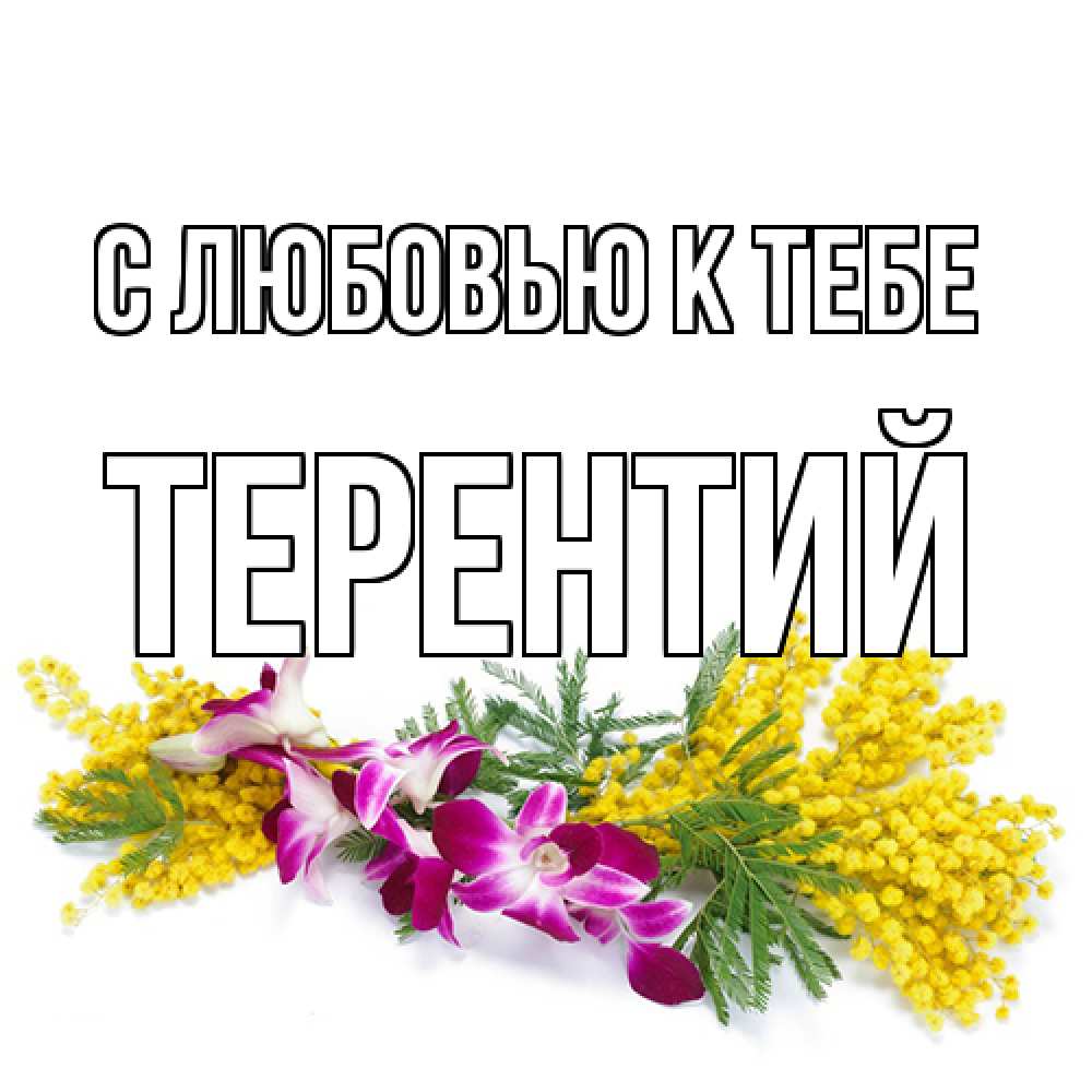 Открытка  с именем. Терентий, С любовью к тебе  