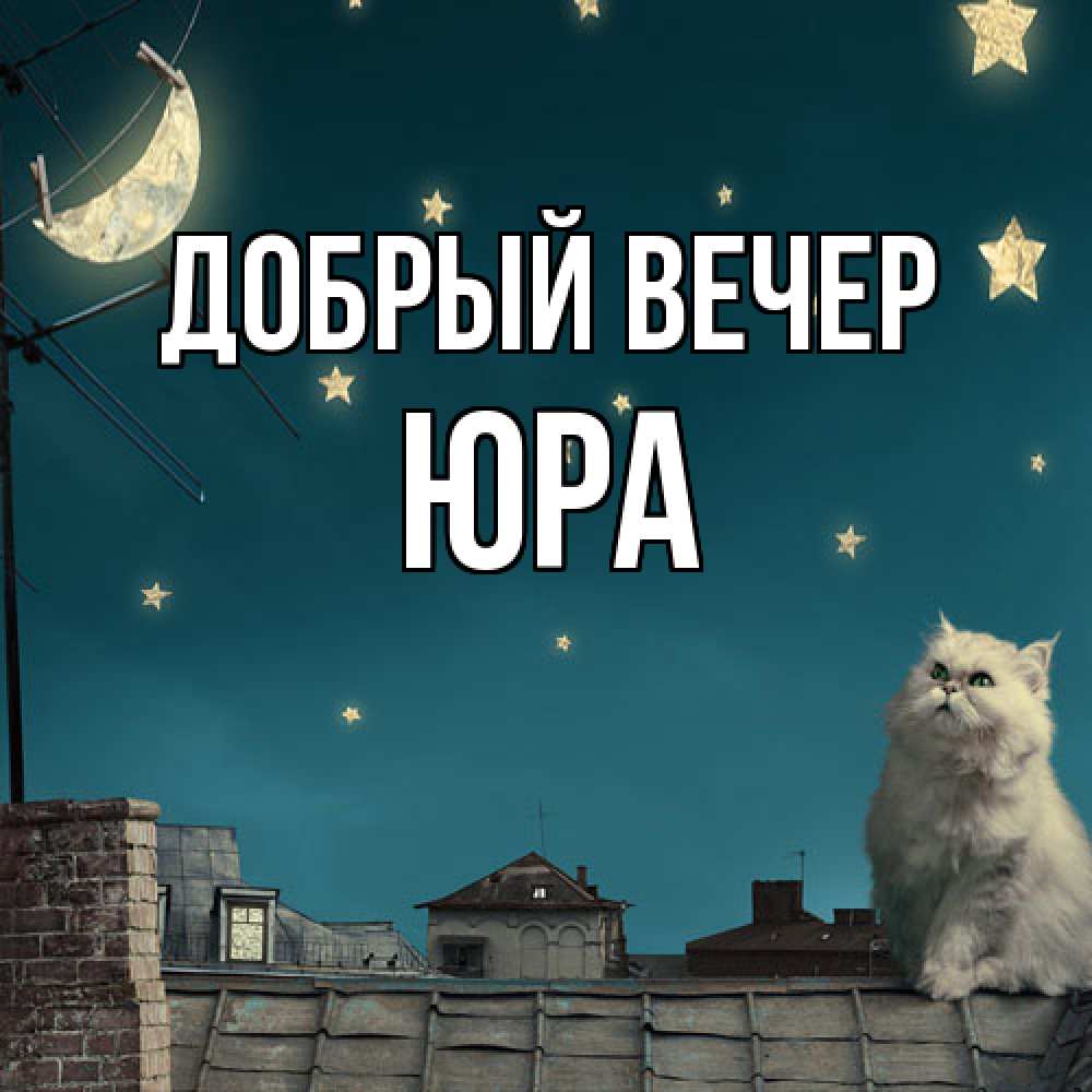 Открытка  с именем. Юра, Добрый вечер  