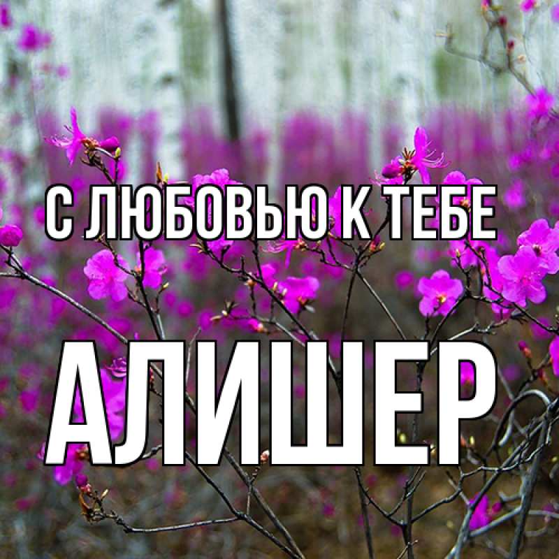 Картинка С любовью к тебе, Алишер