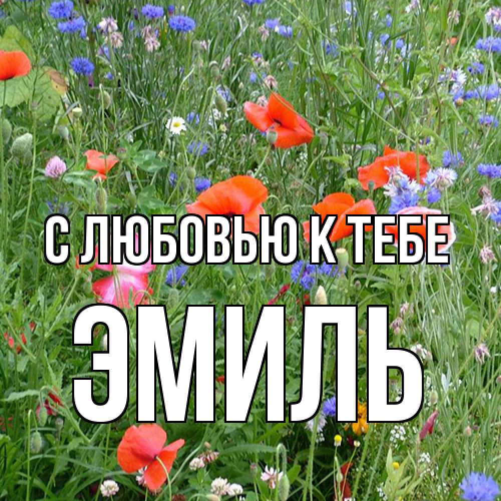 Открытка  с именем. Эмиль, С любовью к тебе  