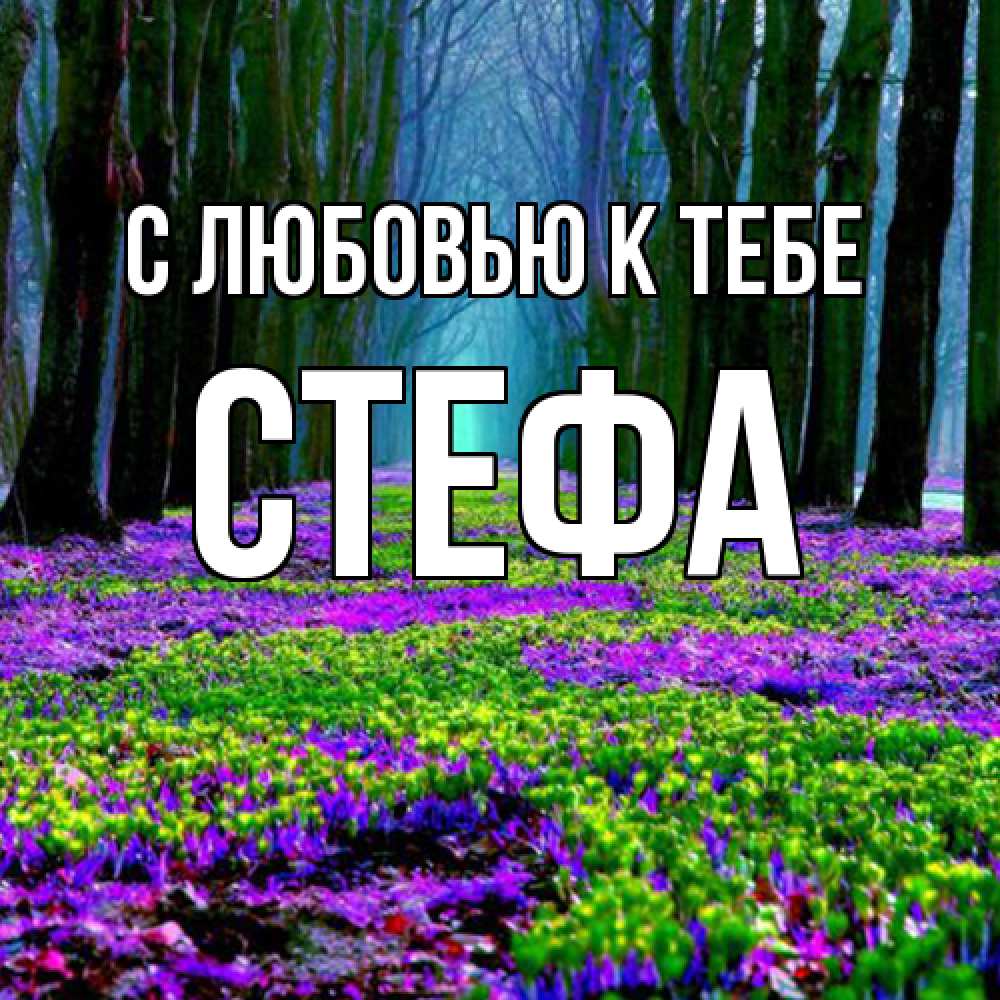 Открытка  с именем. стефа, С любовью к тебе  