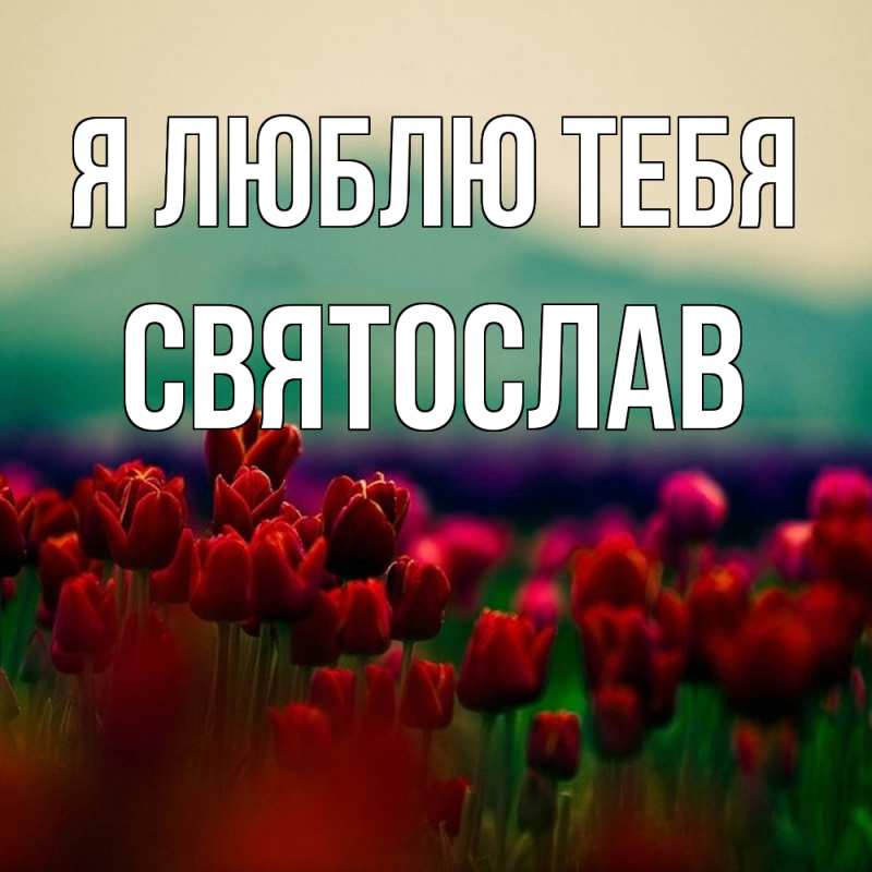 Картинка Я люблю тебя, Святослав