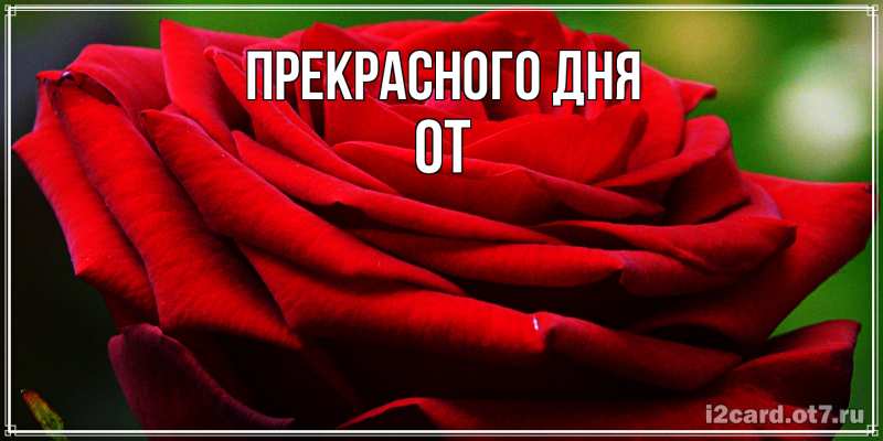 Картинка Прекрасного дня, От