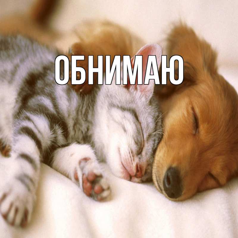 Картинка Обнимаю, 