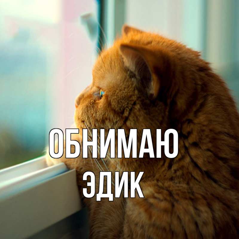 Картинка Обнимаю, Эдик