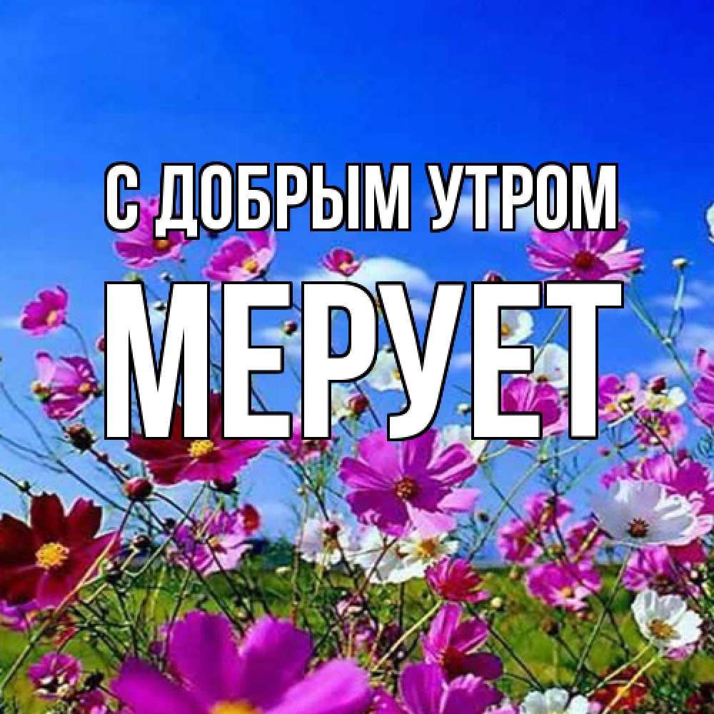 Открытка  с именем. Мерует, С добрым утром  