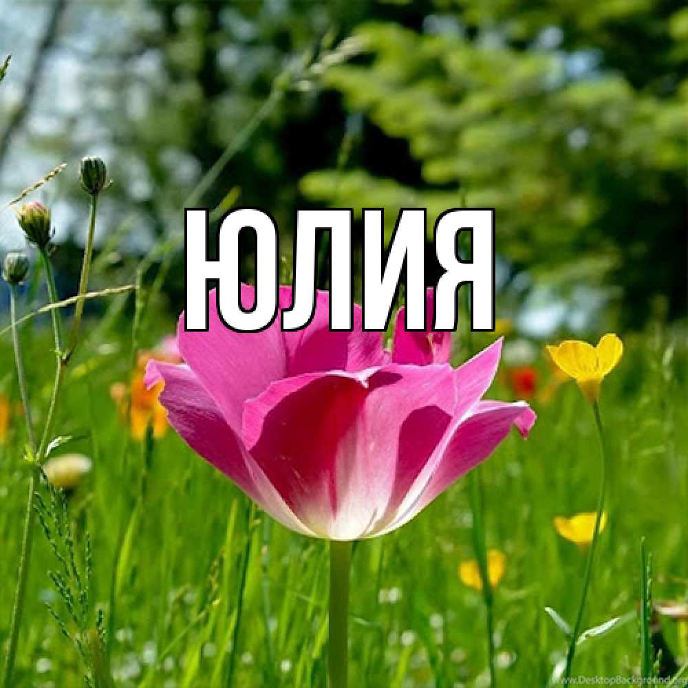 Открытка  с именем. Юлия, Главная  