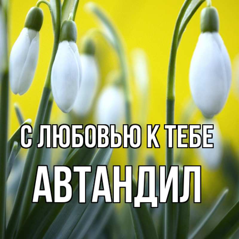 Картинка С любовью к тебе, Автандил