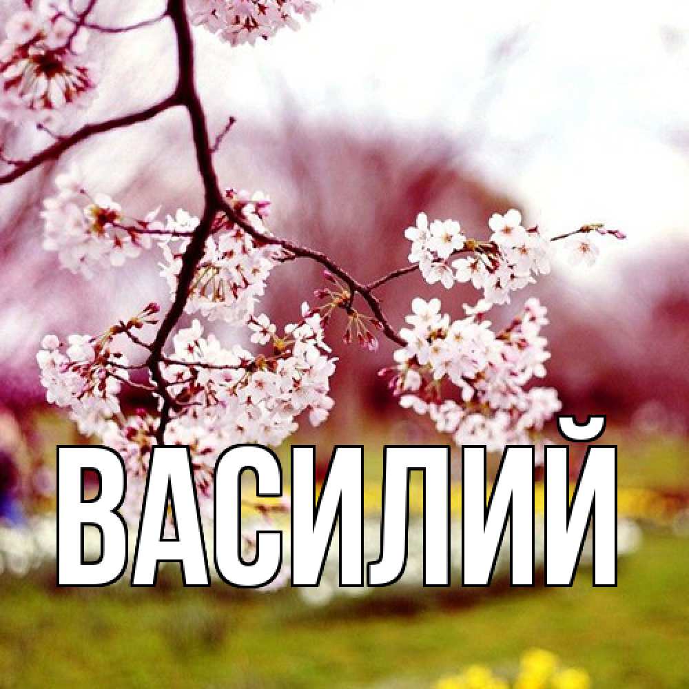 Открытка  с именем. Василий, Главная  