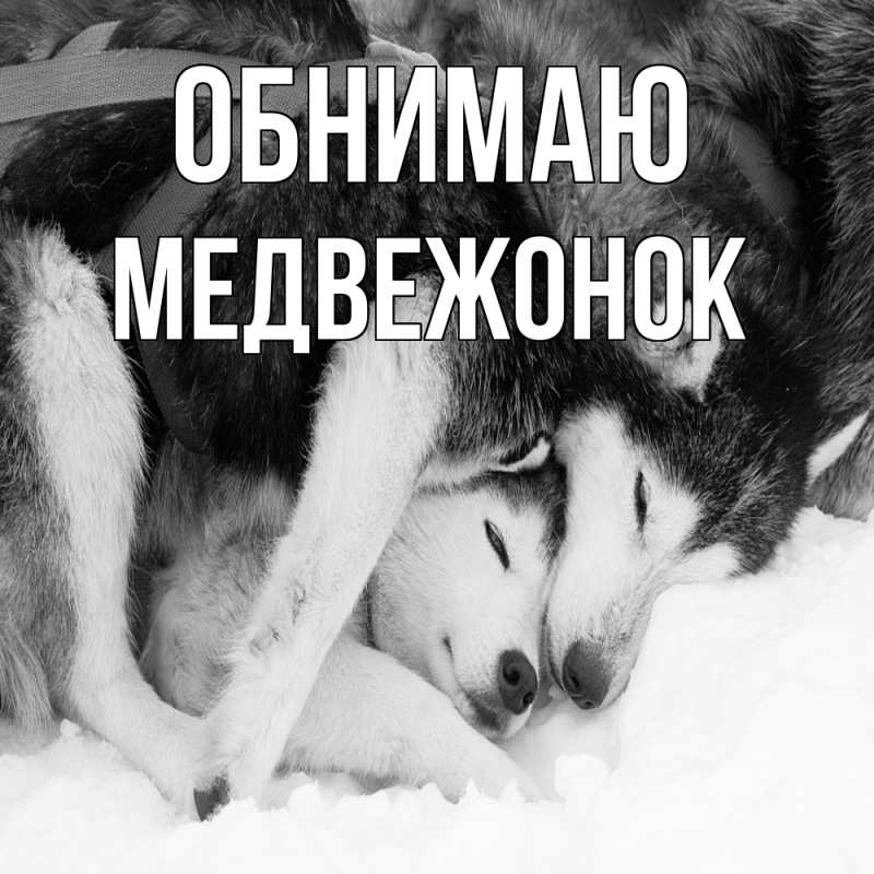 Картинка Обнимаю, Медвежонок