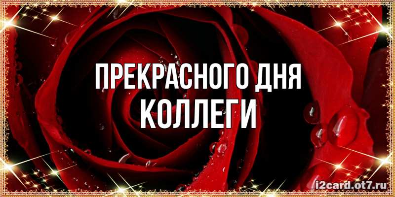 Картинка Прекрасного дня, коллеги