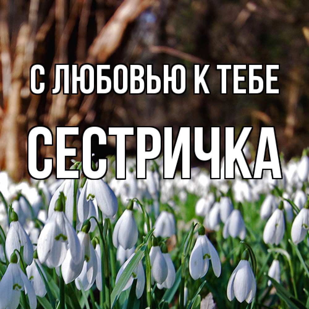 Открытка  с именем. Сестричка, С любовью к тебе  