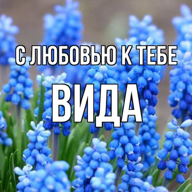 Картинка С любовью к тебе, Вида