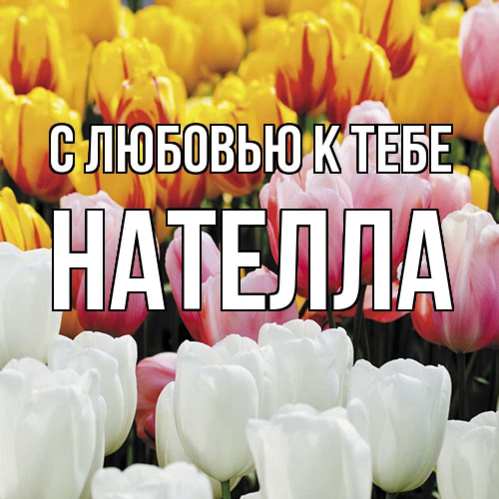 Открытка  с именем. Нателла, С любовью к тебе  