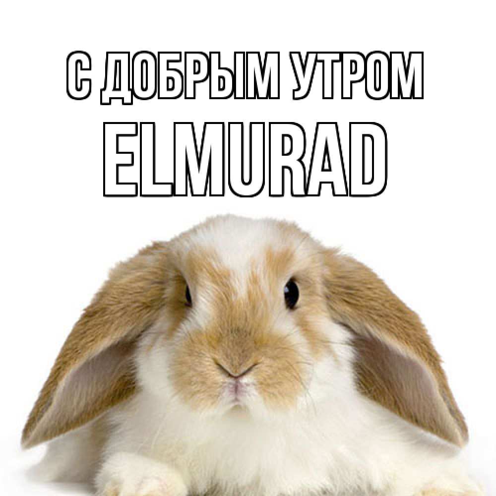 Открытка  с именем. Elmurad, С добрым утром  