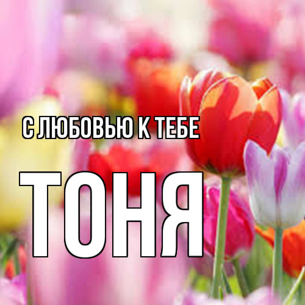 Открытка  с именем. Тоня, С любовью к тебе  