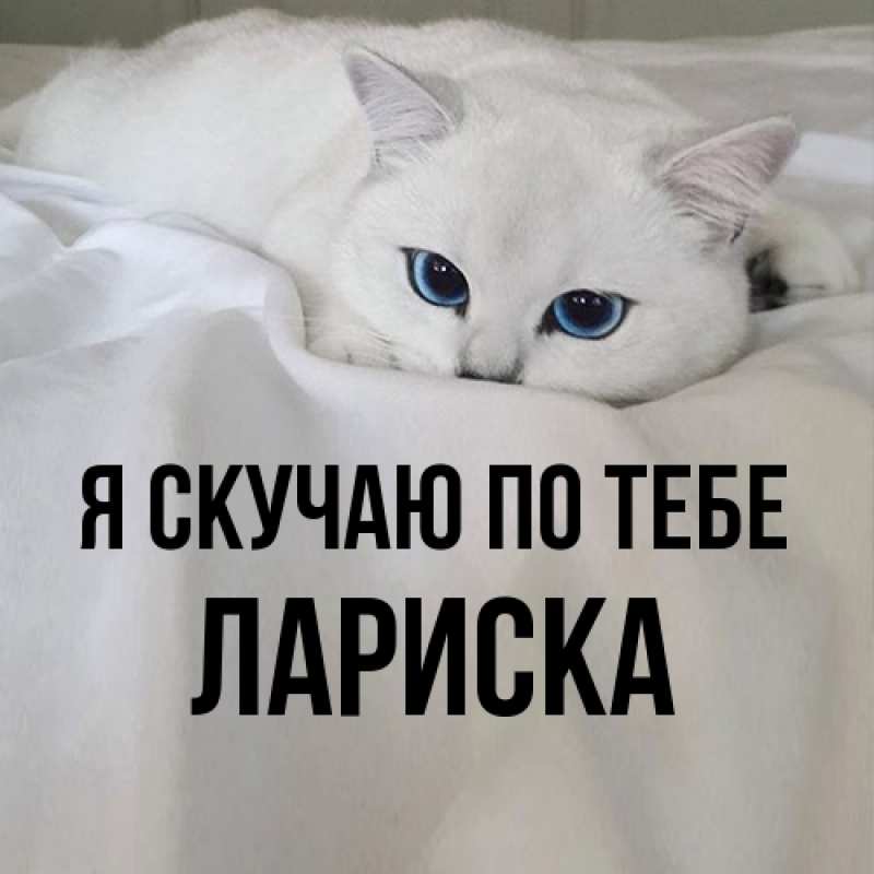 Картинка Я скучаю по тебе, Лариска