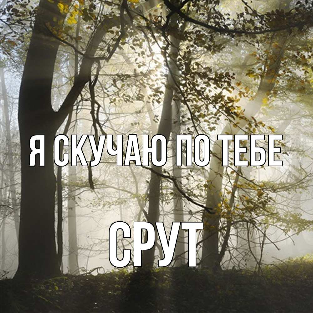 Открытка  с именем. срут, Я скучаю по тебе  