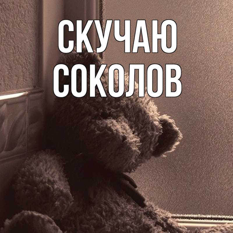 Картинка Скучаю, Соколов