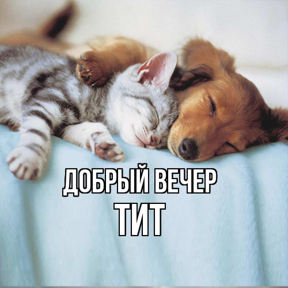 Открытка  с именем. Тит, Добрый вечер  