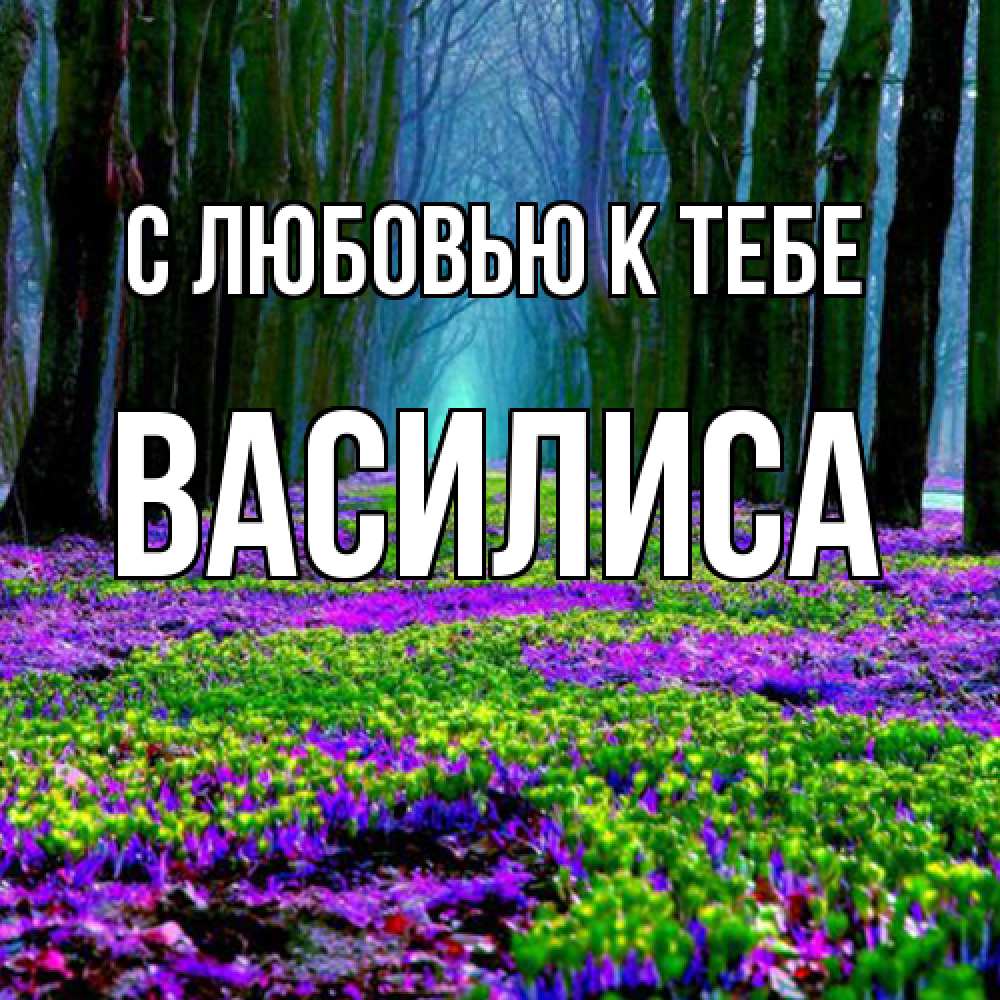 Открытка  с именем. Василиса, С любовью к тебе  