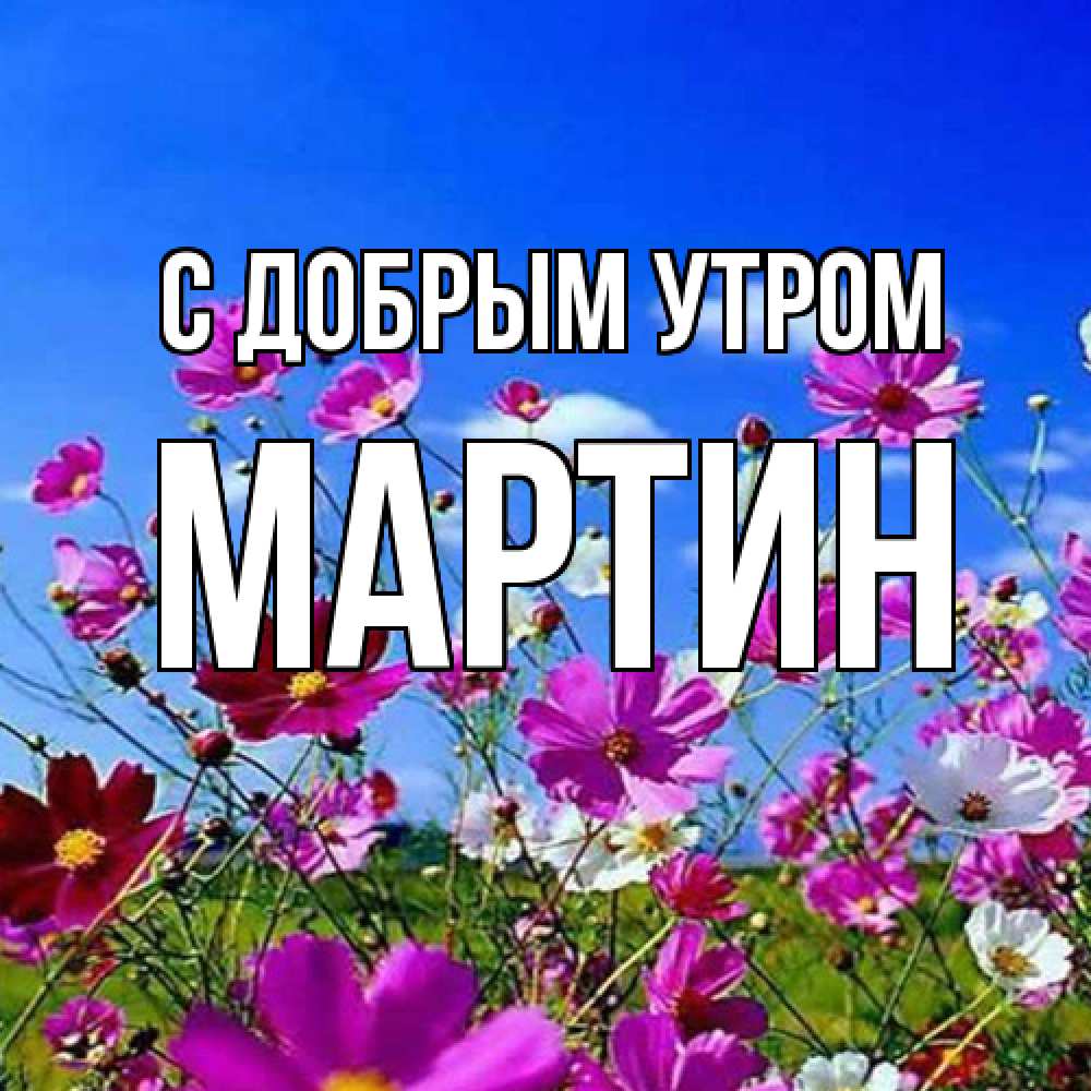 Открытка  с именем. Мартин, С добрым утром  