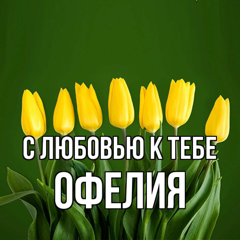 Открытка  с именем. Офелия, С любовью к тебе  