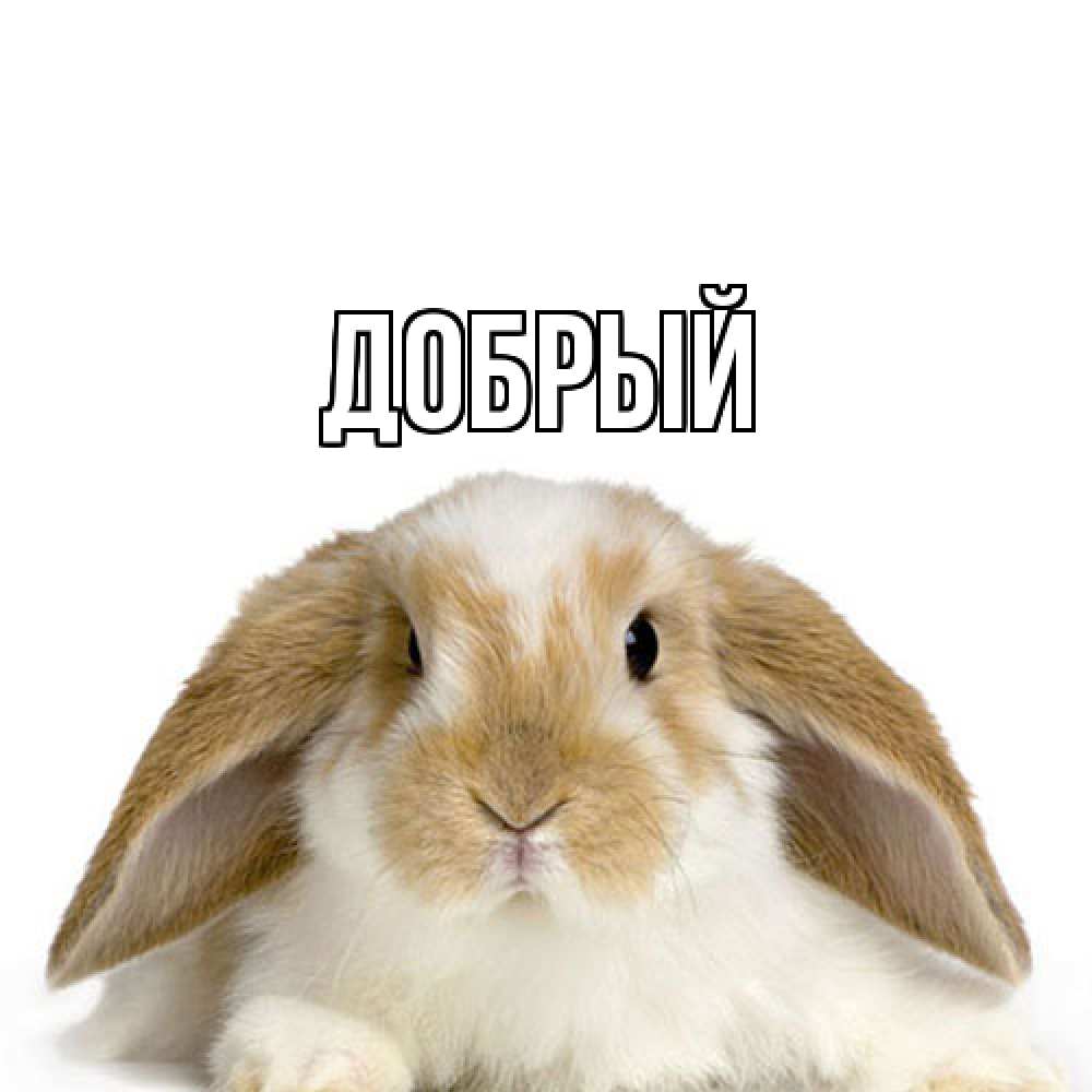 Открытка  с именем. Добрый, Главная  