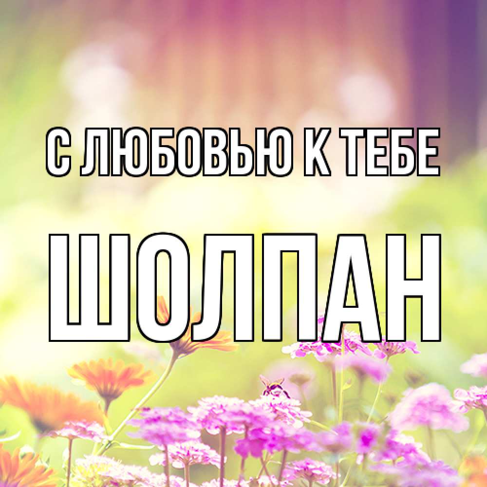 Открытка  с именем. Шолпан, С любовью к тебе  
