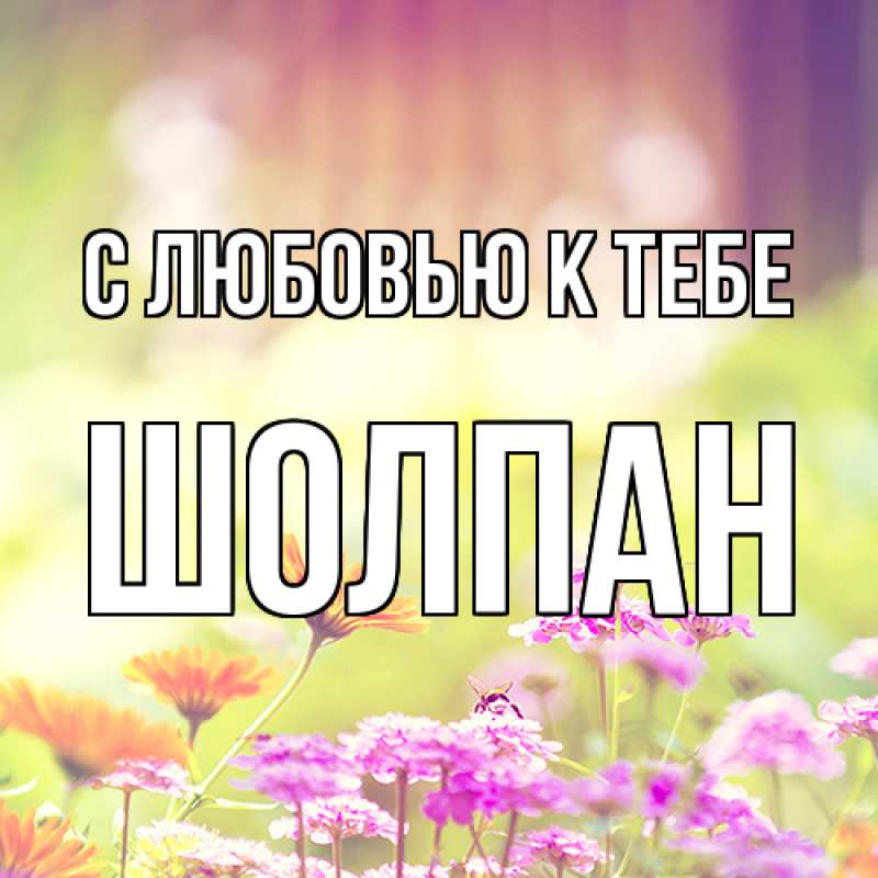 Картинка С любовью к тебе, Шолпан
