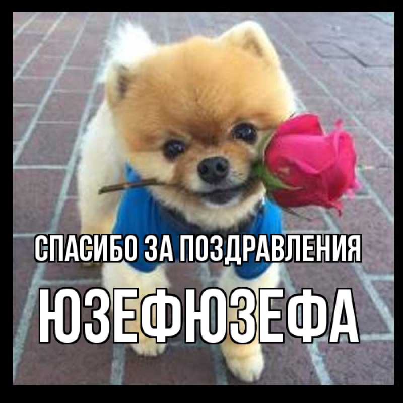 Картинка Спасибо за поздравления, Юзефюзефа