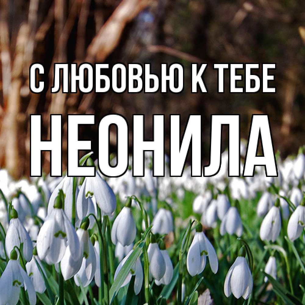 Открытка  с именем. Неонила, С любовью к тебе  