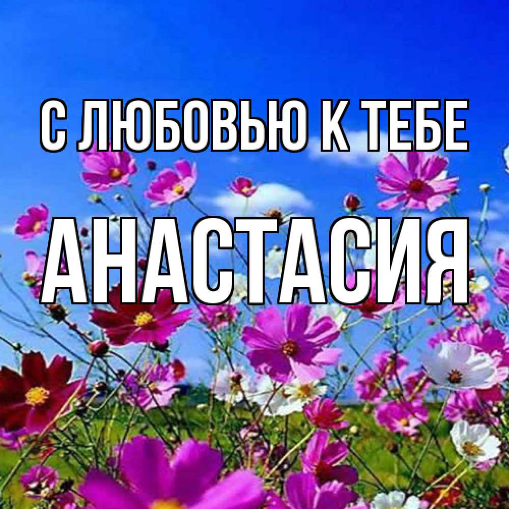 Открытка  с именем. Анастасия, С любовью к тебе  