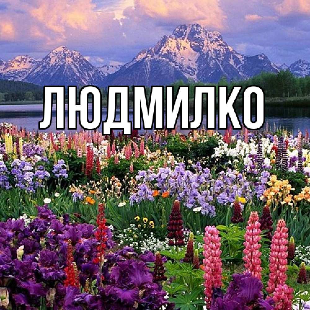 Открытка  с именем. ЛЮДМИЛКО, Главная  