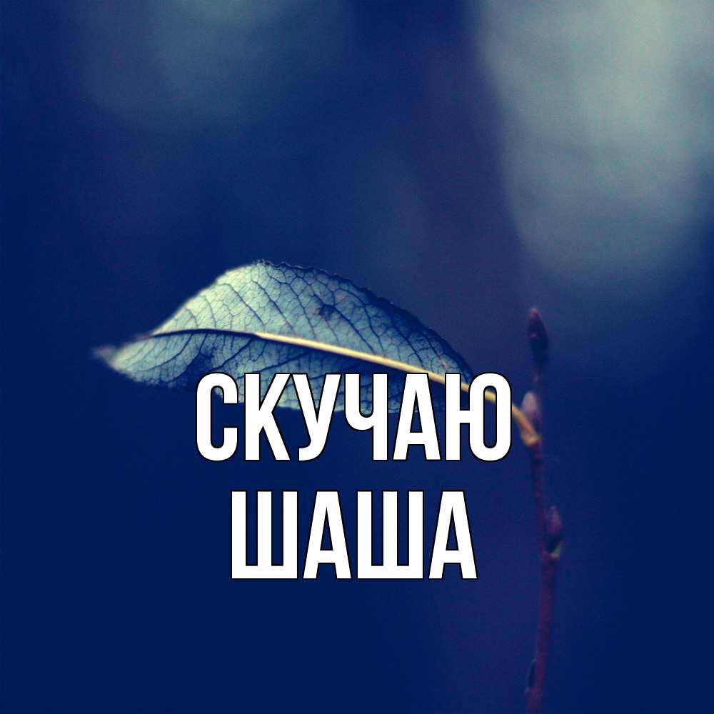 Открытка  с именем. Шаша, Скучаю  