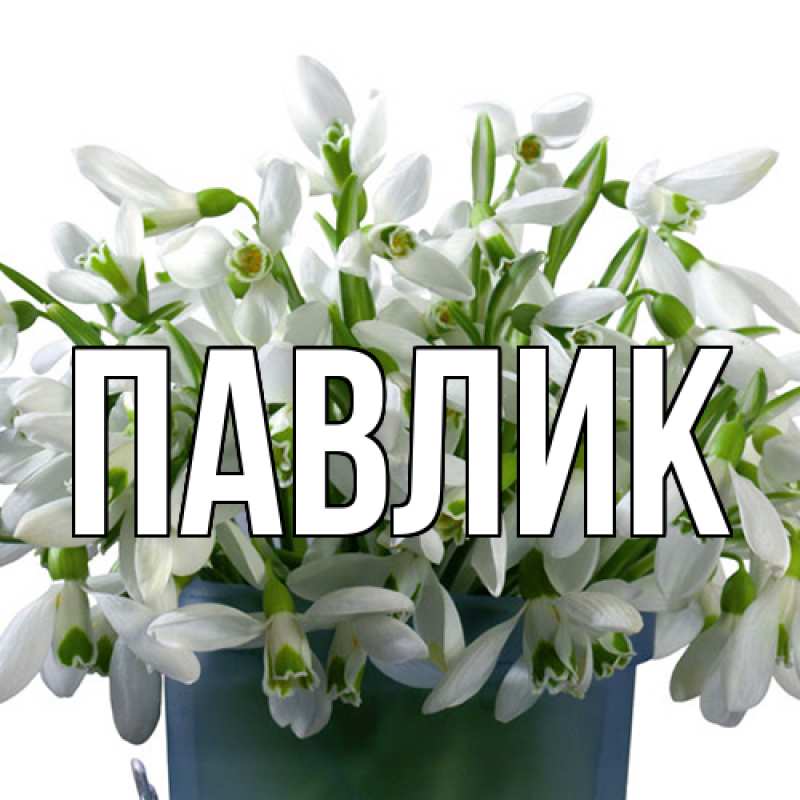 Картинка  с именем , Павлик