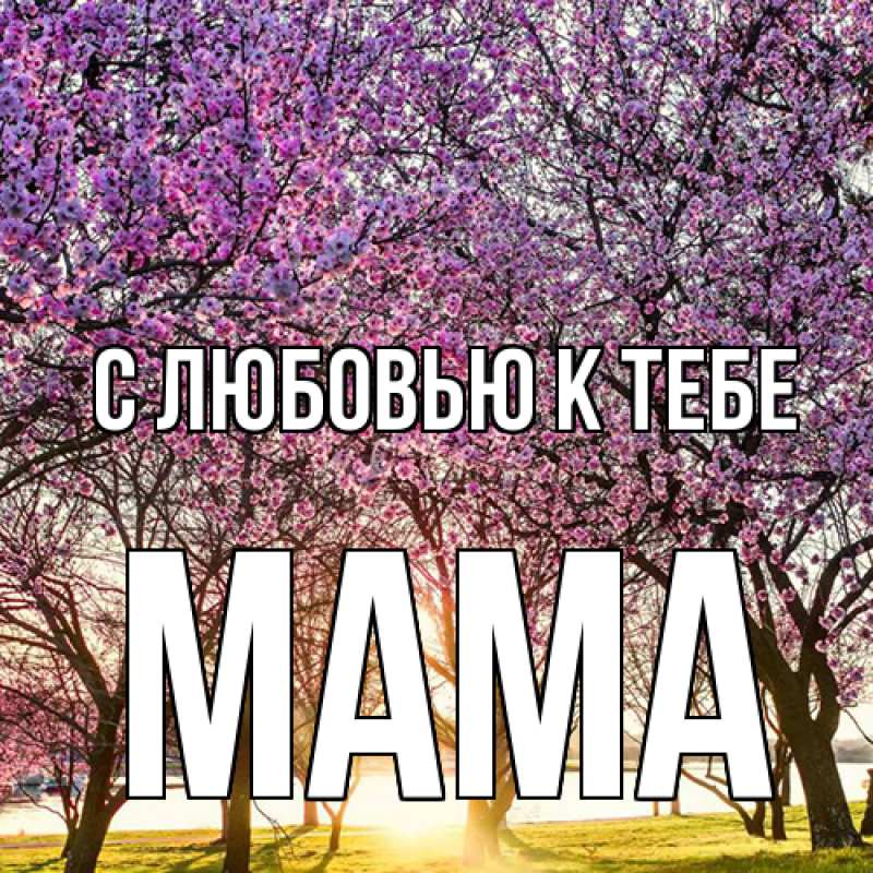 Картинка С любовью к тебе, Мама