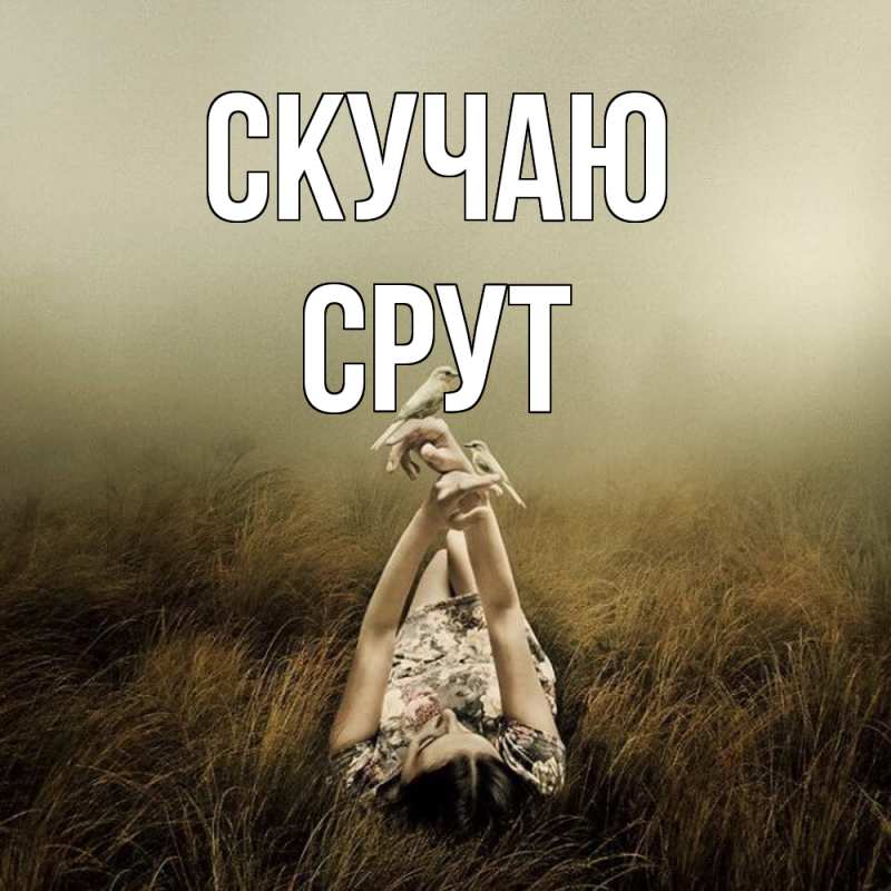 Картинка Скучаю, срут