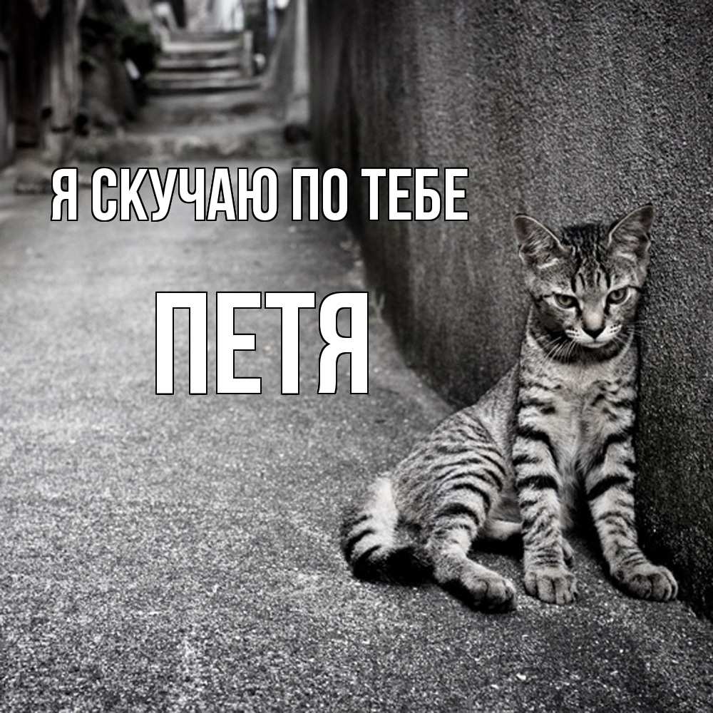 Открытка  с именем. Петя, Я скучаю по тебе  