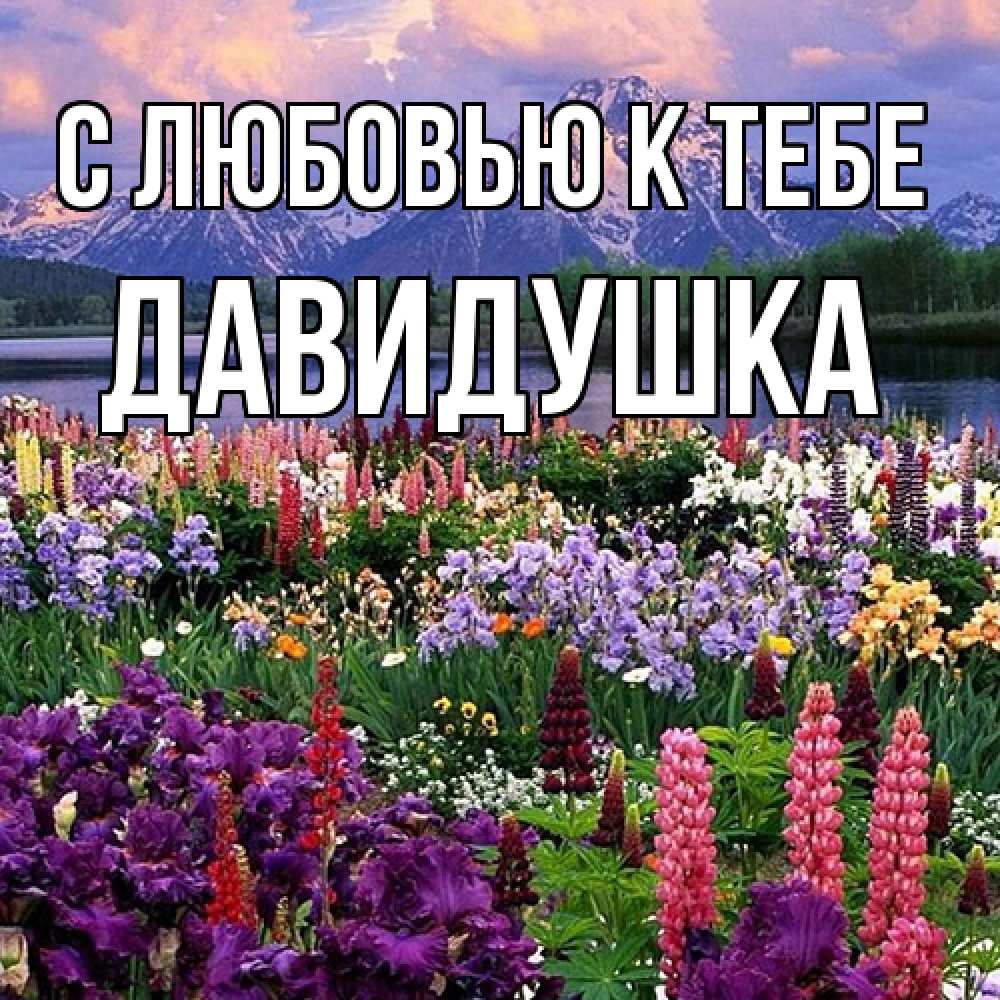 Открытка  с именем. Давидушка, С любовью к тебе  